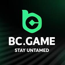 How to Log In to BC Games A Step-by-Step Guide