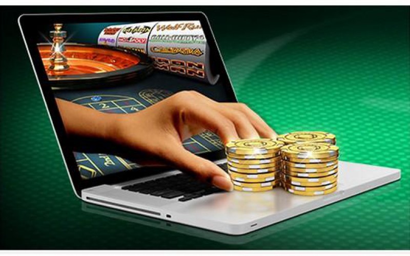 Wunderino Casino An In-Depth Review of the Online Gaming Experience